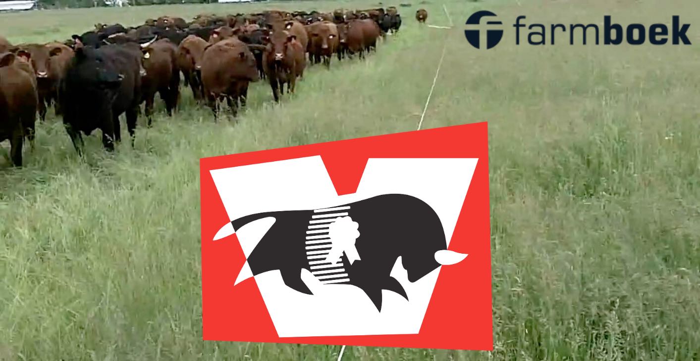 Voermol Drukbeweiding & Demonstrasie Dag. Gallagher South Africa