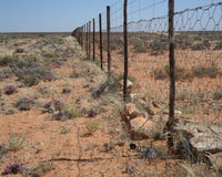 Mistakes to Avoid with Electric Fencing
