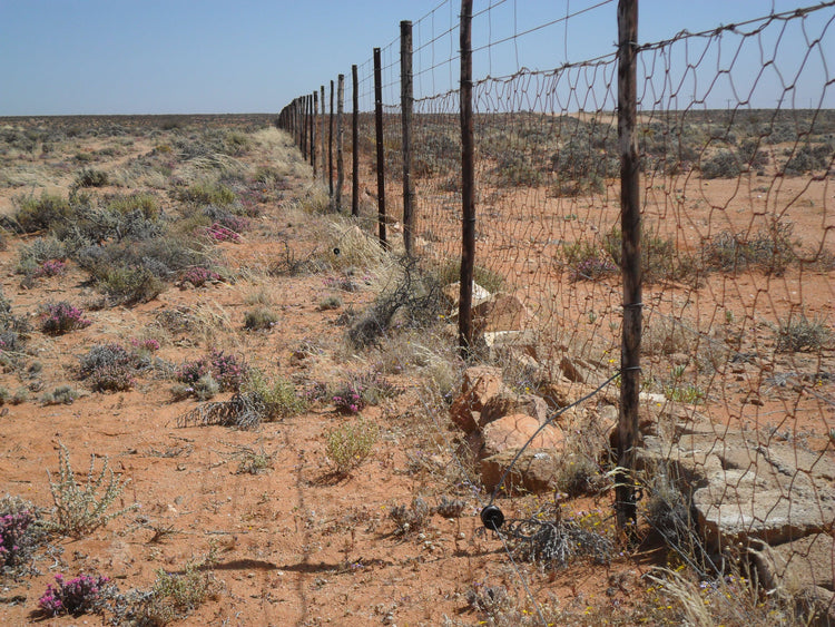 Mistakes to Avoid with Electric Fencing