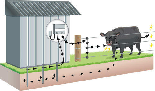 The Basics of Electric Fencing