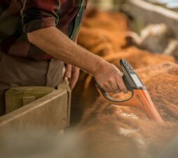 Laai prent in Gallery-kyker, Hand Held EID Tag Reader