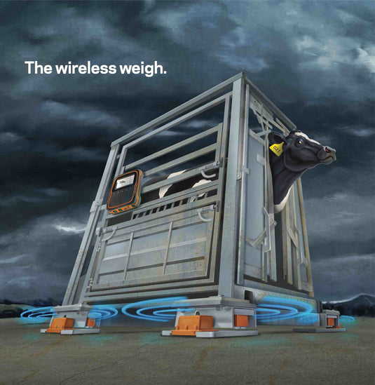 Wireless Loadbars