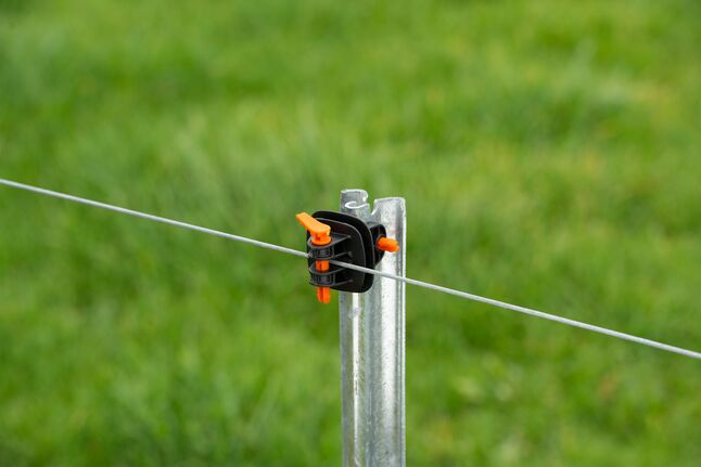 Pakia picha kwenye kitazamaji cha Ghala, Insulator ya Kiwitah Post 25pk