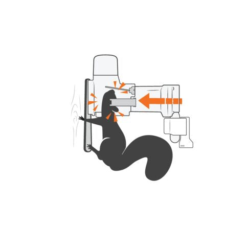 Chargez l'image dans la visionneuse de la galerie, Goodnature A18 Squirrel Trap Kit