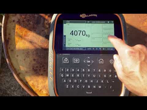 Pakia na ucheze video katika kitazamaji cha Ghala, Weigh Scale