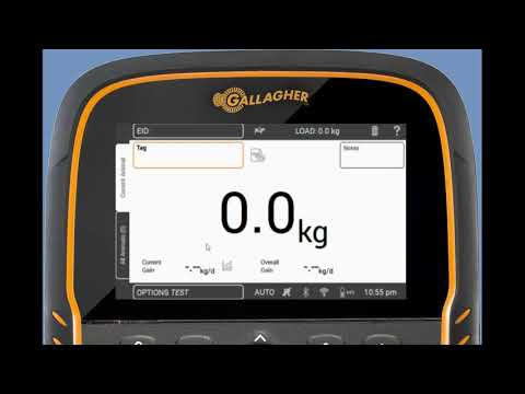 Pakia na ucheze video katika kitazamaji cha Ghala, Weigh Scale