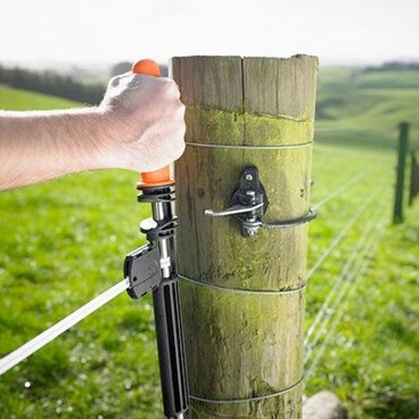 Chargez l'image dans la visionneuse de la galerie, G71804 PORTE MULTI BRINS 4 RUBAN 6M