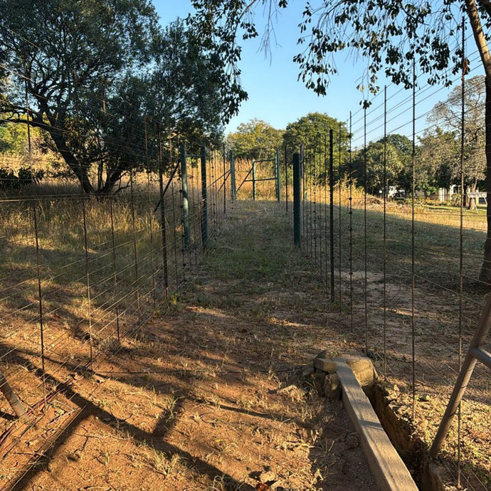 Gallagher’s electrified fences keep Hazyview’s macadamia nuts and people safe