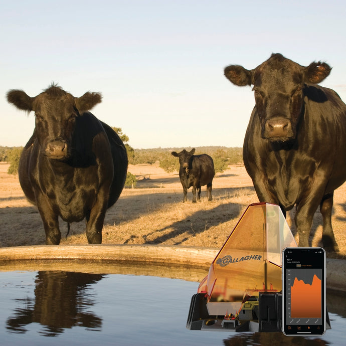 Remotely Monitoring your Animal’s Water Intake this Summer