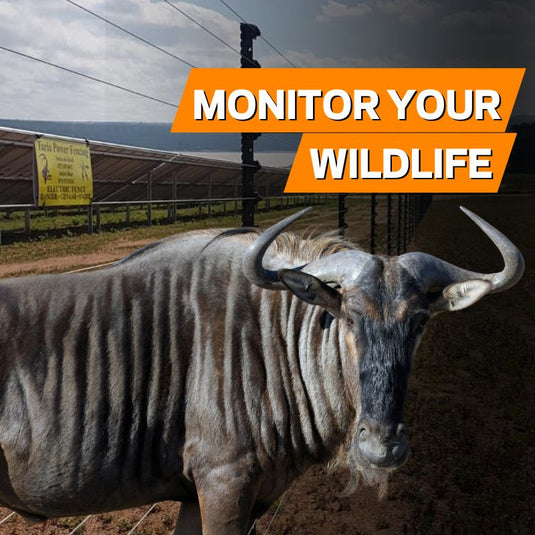 Monitor the Movements of your Wildlife