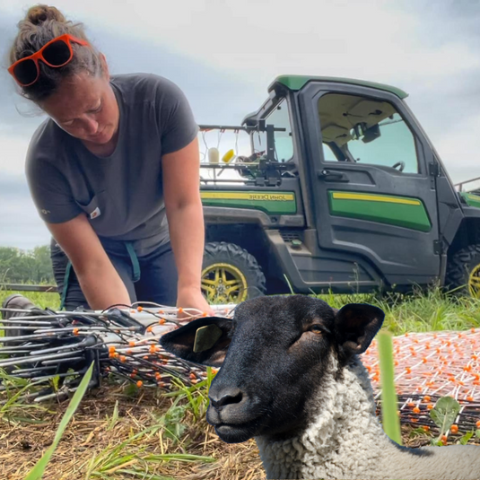 Electric Sheep Netting for the Modern Farmer