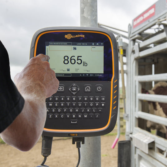 The Benefits of Weighing your Livestock Regularly