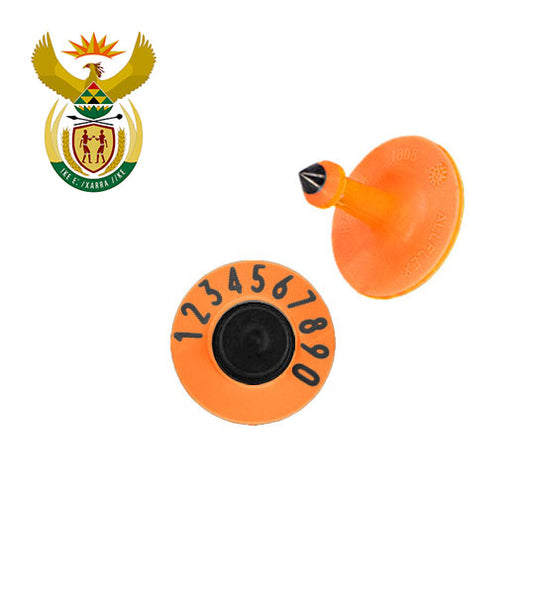 Button Male and Button Female