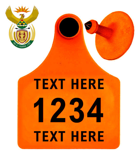 Button Male and Maxi Female Tags