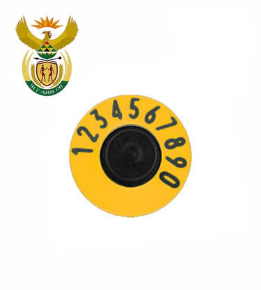 Pakia picha kwenye kitazamaji cha Ghala, Button Female
