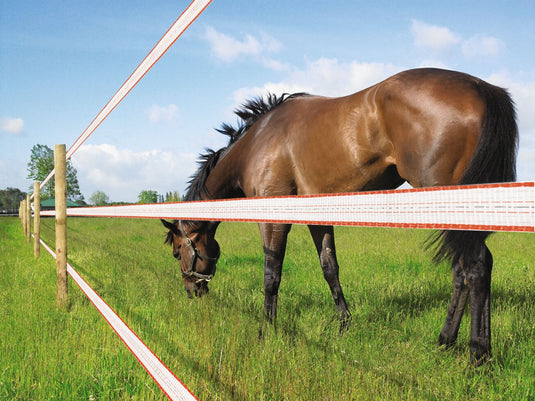 Equine Fencing