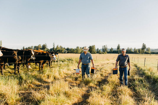 Portable Livestock Fencing