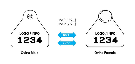 OVMM/OVF: Ovina Male and Ovina Female Tags