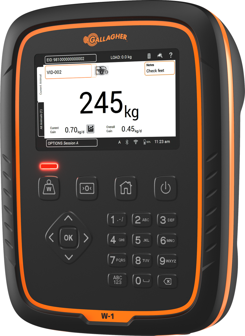 Load image into Gallery viewer, WEIGHING COMBO DEAL
