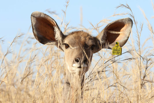 Smart tagging solutions for seamless operations