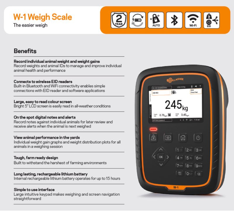 Load image into Gallery viewer, W-1 Weigh Scale
